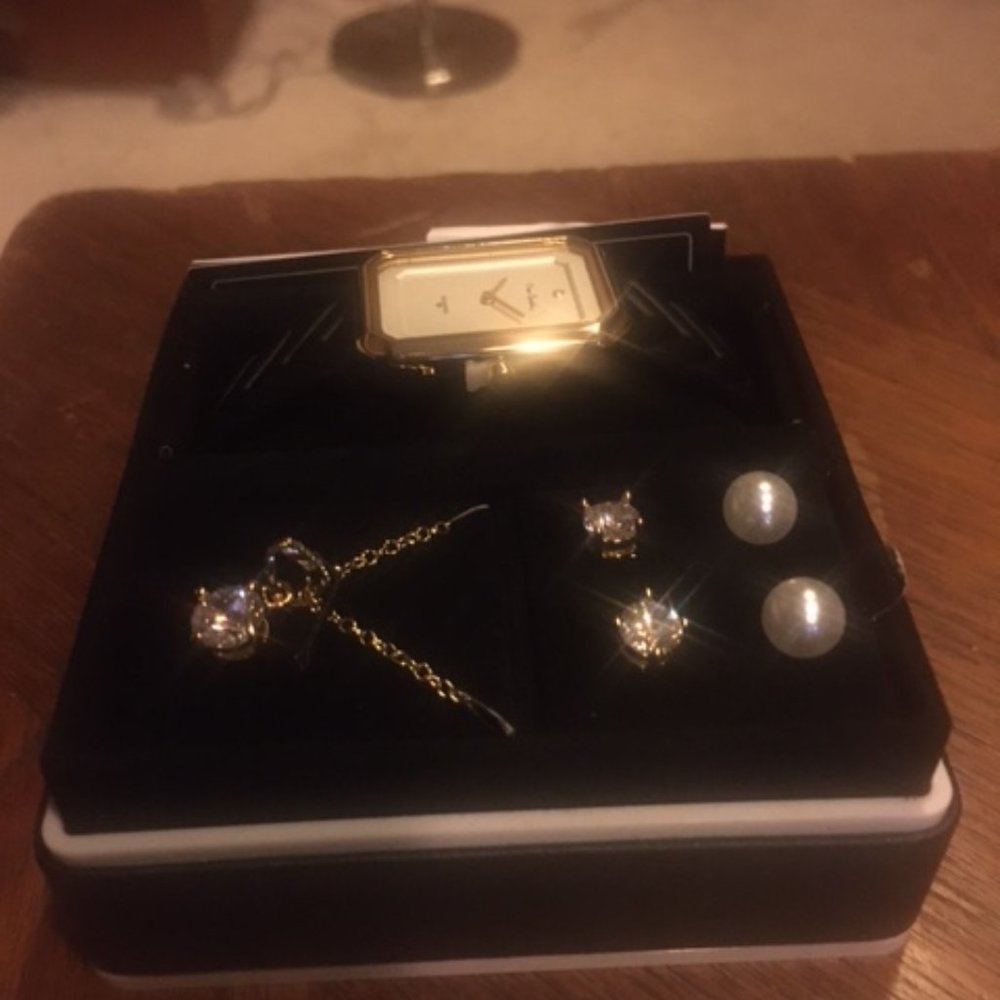 Pierre Cardin women's watch set